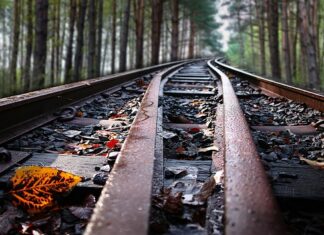 Czego nie wolno podawać w internecie?