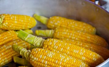 Jakie witaminy zawiera popcorn?