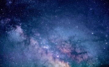 Ile kosztuje badanie marketingowe?