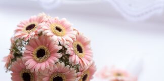 Kiedy nie robi się chrzcin? Kiedy nie robi się chrzcin?