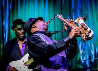 Ile zarabia Junior Master Data?