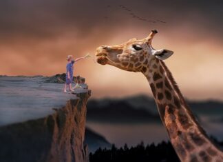 Czym się karmi małe gupiki?