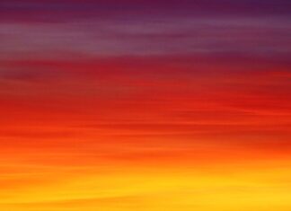 Po jakim czasie gupiki nabierają kolorów?