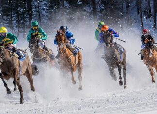 Czym się różnią turfy od korków?