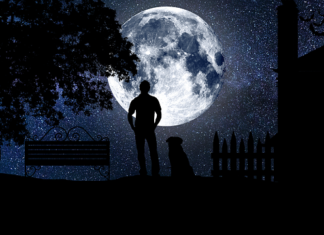 Co daje Swing Kettlem?