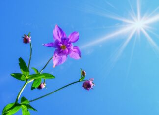 Co lepsze na orlik korki czy turfy?