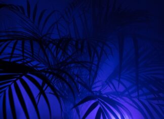 Gdzie kupić legginsy na siłownie?